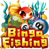Câu Cá Bingo x98 games